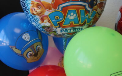 Paw Patrol Birthday Party